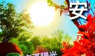 适合早安问候的图片