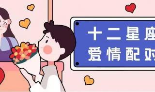 射手座和什么座最配