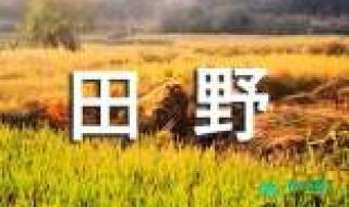不畏浮云遮望眼作文